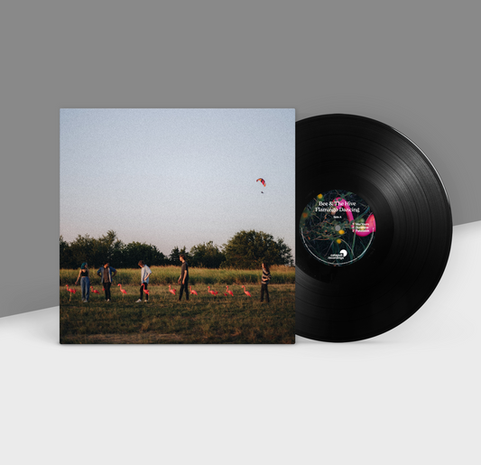 Flamingo Dancing - 12" Vinyl