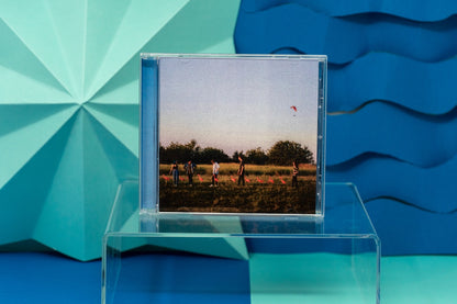 Flamingo Dancing - CD